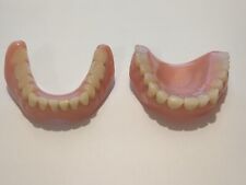 Vintage Full Upper and Lower Dentures  ~  False Teeth Oddity Collectable Display picture