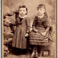 c1880s Two Cute Girls Cane Stick Cabinet Card Photo Leather Button Shoe Rare B18 picture