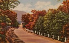 VINTAGE 1940's Scenic View in the Beautiful MISSOURI OZARKS Linen PC a2-248 picture