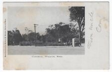 Walpole, Massachusetts, Vintage Postcard View of The Common picture