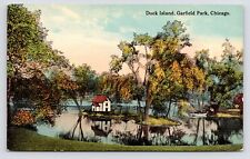 c1908~Chicago Illinois IL~Garfield Park~West Side~Duck Island~ Antique Postcard picture