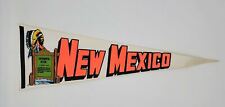 Vintage Continental Divide New Mexico Pennant picture