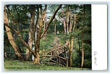 1907 Rustic Bridge View Underwood Springs Maine ME Posted Antique Postcard picture