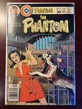 The Phantom #72 (1976, Charlton Comics) 🔥COMBINED SHIPPING picture