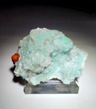 ***SUPERB-Sparkling Teal Blue Aurichalcite in Calcite crystals, Ojuela mine... picture