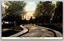 Melrose Avenue Looking East Knoxville TN Postcard Hand Colored Lithograph picture