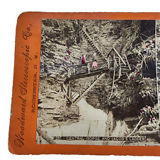Antique Stereoview Card, Havana Glen Ny, Jacobs Ladder, Woodward Stereoscopic Co picture
