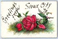 Sioux City Iowa IA Postcard Greetings Rose Flower & Leaves Scene c1910s Antique picture