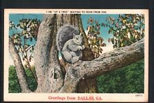 1952 DALLAS, GA * GREETINGS FROM ~ NUT-EATING SQUIRREL * POSTED ELLIJAY LINEN picture