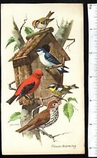 5 COLORFUL BIRDS HOUSE WARMING c1880's VICTORIAN ADVERTISING TRADE CARD picture