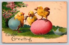 Embossed Antique 1912 Easter Postcard Art Freshly Hatched Egg Baby Chicks Play picture