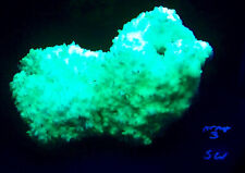 Fluorescent Aragonite Crystals Large Specimen from Mexico Arag3 Home Decor picture
