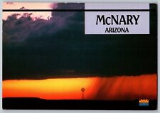 McNary, Arizona AZ - Facts, Folklore, History & Legend - Vintage Postcard 4x6 picture