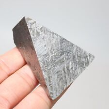 100g Muonionalusta meteorite part slice  A2071 picture