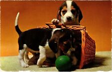CPM AK Easter - Puppies - Egg Basket DOGS (1388398) picture