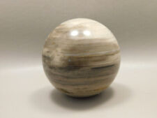 Petrified Sequoia Wood 2.6 inch Stone Sphere Fossilized USA #O1 picture