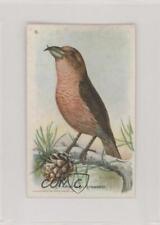 1935 Arm & Hammer Useful Birds of America Series 7 American Crossbill #8 0o9 picture