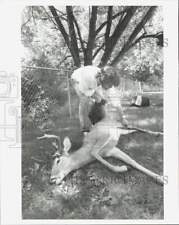 1988 Press Photo David Wills checks deer after chase in Farmington Hills, MI picture