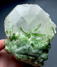 310 Gram Tourmaline Crystal On Quartz Specimen From Afghanistan picture