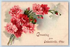 Pulaskiville Ohio OH Postcard Greetings Buds Flowers And Leaves 1908 Antique picture