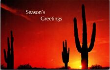 Postcard Seasons Greetings from Tempe  Arizona [ca] picture