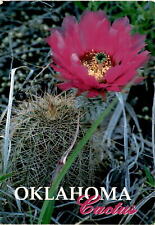 Discover Oklahoma's unique cactus species. #ExploreNature #WichitaMountains picture