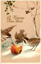 Vintage Postcard - A HAPPY NEW YEAR finches eating fruit unposted c1900s picture