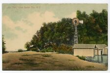 Antique Postcard Sodus Bay, NY Lake Bluff Great Divided Back Posted 1914 picture
