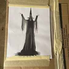 9.5 Foot Macabre Witch Motion Activated Animatronic Halloween Home Depot Animate picture