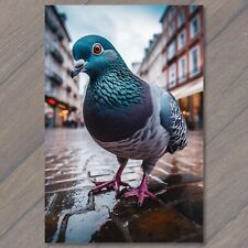 Postcard Urban Pigeon Elegance: City Charm in Close-Up 🕊️ picture