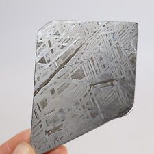 78g Muonionalusta meteorite slice R2125 picture