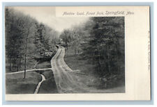 c1905 Meadow Road Forest Park Springfield Massachusetts MA Postcard picture