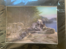wolfs 3-D picture Brand New in plastic matted ready to frame picture