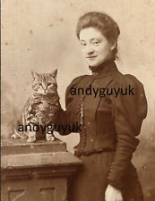 CDV SUPERB LADY & TABBY CAT THE HAGUE NETHERLANDS ANTIQUE PHOTO ANIMAL DEN HAG picture