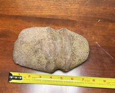Authentic Native American Indian Large Stone Axe Head Grooved Arrowhead Thick picture