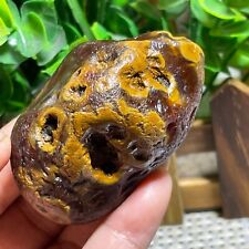 Top Bonsai Suiseki-Natural Gobi Agate Eyes Stone-Rare Stunning Viewing 104g A236 picture