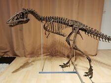3d printed T-REX, Tyrannosaurus Rex baby skeleton model dinosaur 1:1 picture