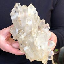2.34LB  Natural rare white water crystal cluster backbone mineral specimen picture
