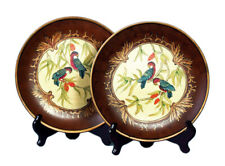 Zeckos Pair of 10 Inch Diameter Parrot Decorative Plates picture