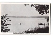 Hamilton Indiana IN Postcard 1915-1930 Cold Spring View of Fish Lake picture