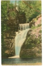 Beautiful Flowers Down The Lower Falls Buck Hills Falls, Pennsylvania Postcard picture