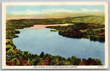 Lake Fairlee Green Mountains Vermont Linen Birds Eye View Forest UNP Postcard picture
