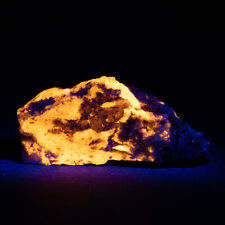 Elatolite Villiaumite with hackmanite. UV LW fluorescent mineral 50g Kola Russia picture