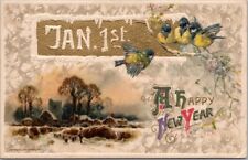 Vintage 1910s HAPPY NEW YEAR Embossed Postcard Bluebirds / Winter Church Scene picture
