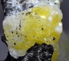 204GM Outstanding Natural Yellow Brucite Crystal Combine Black Minerals Specimen picture