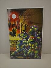 TMNT: Saturday Morning Adventures #11 NM Stashhhloot Virgin PONCHO Cover picture