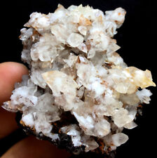 60g Natural Rare Dovetail Twins Calcite Crystal Cluster Limonite,Wenshan E743 picture