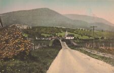 Mt Equinox Sunderland Rd. Manchester VT Albertype Hand-Colored Postcard A642 picture