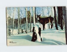 Postcard Buck in the Snow Winter Scene picture