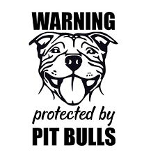 WARNING Protected by PIT BULLS Vinyl Decal picture